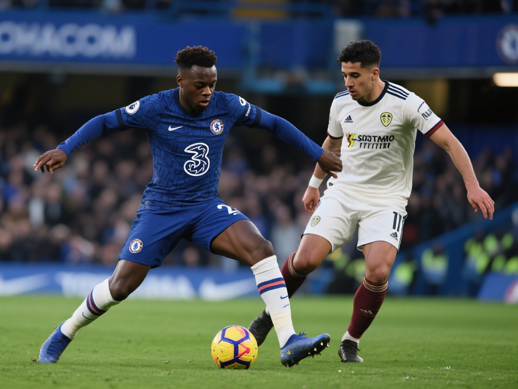 客户的反馈 客户的反馈